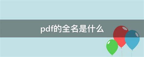 pdf 全名|PDF